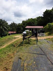 FREEHOLD Tanah Kebun Durian Musang King Kampung Kundor Ulu Rembau